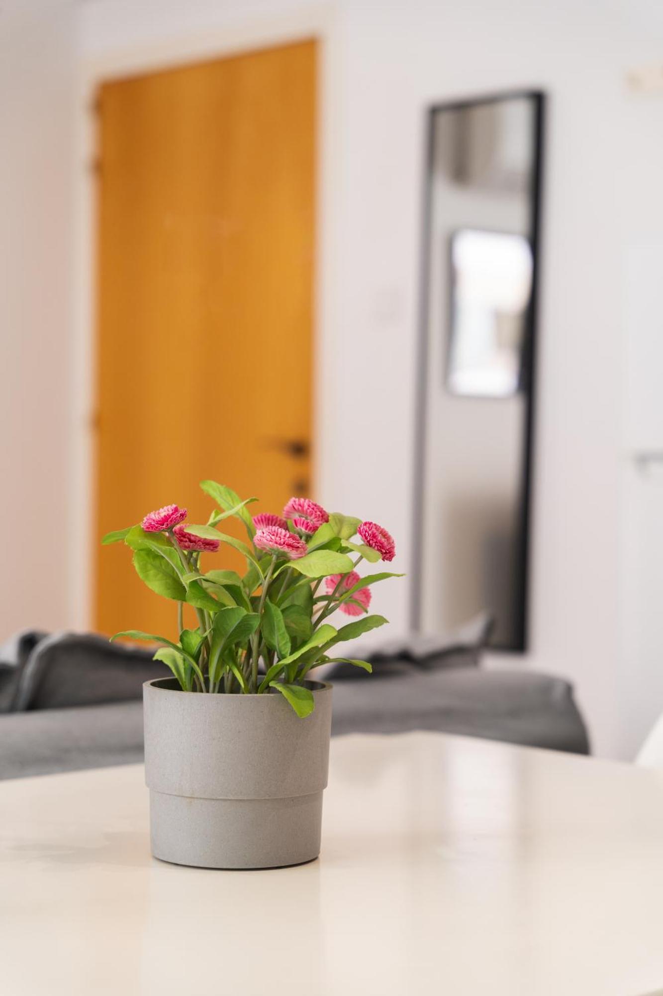 Kave Blue Mackenzie 1 Bdr Flat With Pool Apartment Larnaca Bagian luar foto
